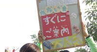 翠雨草 かざぐるま 